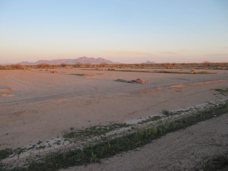 Datei:Desert.Eloy.5.jpg
