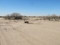 Desert.Eloy.11.jpg