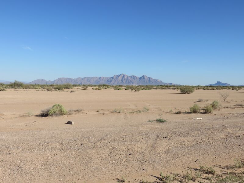 Datei:Desert.Eloy.22.jpg