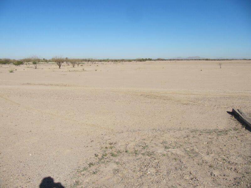 Datei:Desert.Eloy.10.jpg