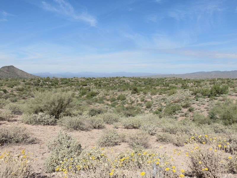 Datei:Desert.AZ.3.jpg