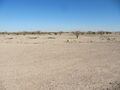 Desert.Eloy.7.jpg