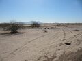 Desert.Eloy.12.jpg