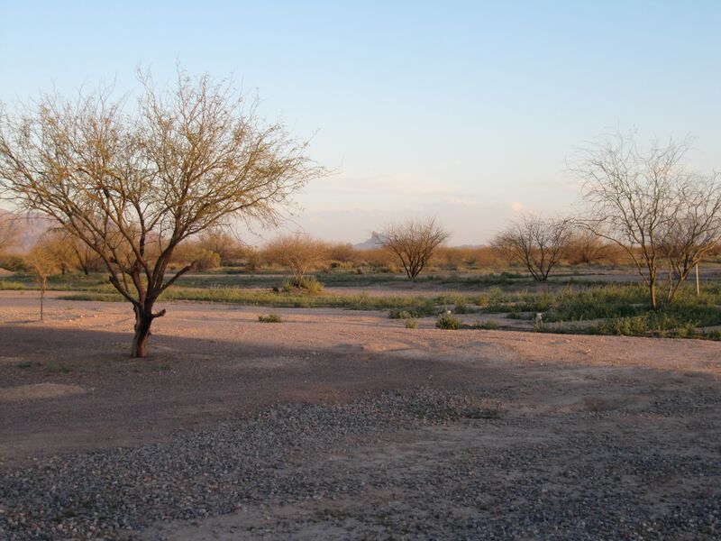 Datei:Desert.Eloy.4.jpg
