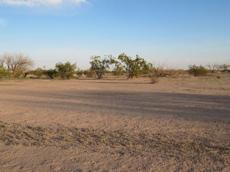 Datei:Desert.Eloy.1.jpg