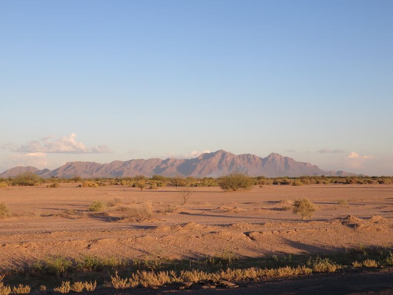 Datei:Desert.Eloy.25.jpg