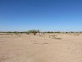 Desert.Eloy.26.jpg