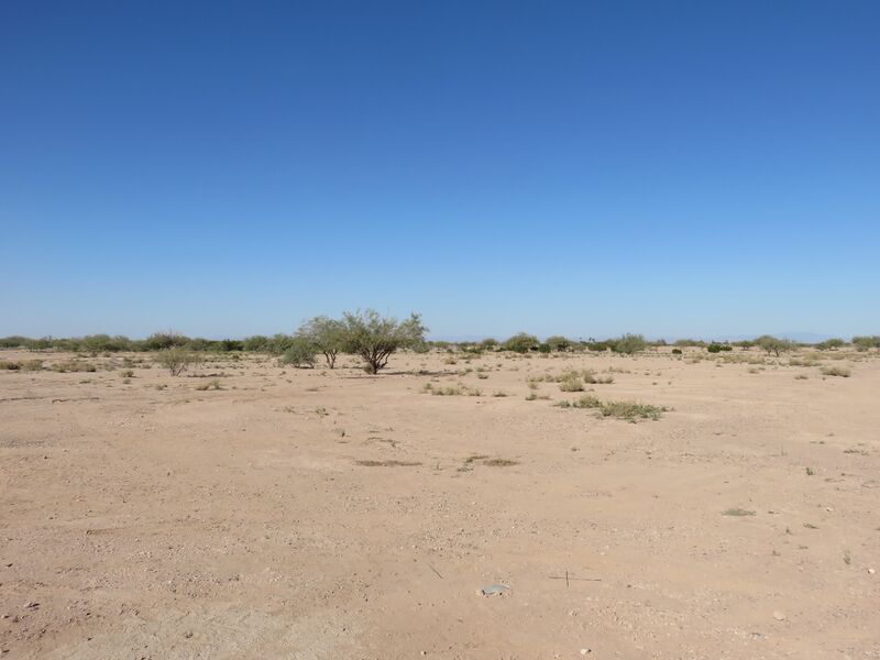 Datei:Desert.Eloy.26.jpg